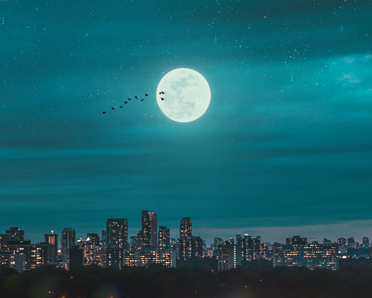 Top Reasons to Watch the Sphere Live